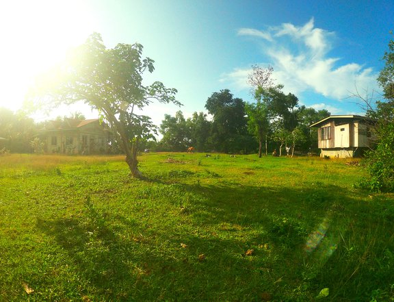 Residential lot in Tinago, Dauis, Bohol