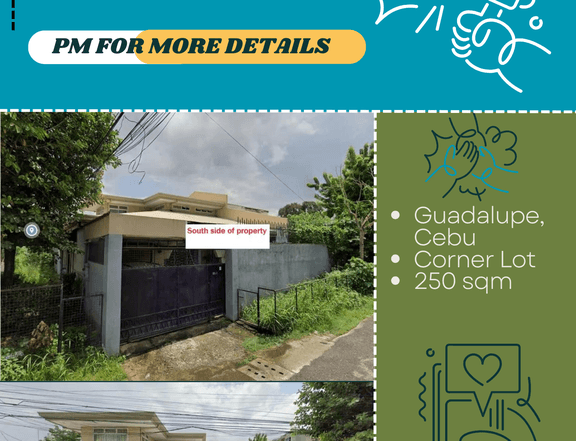 GUADALUPE Corner House and Lot NEGOTIABLE