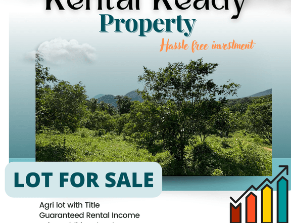 Lot for sale in Calauan Laguna/ Rental Ready Property Investment