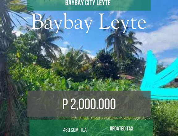 Lot For Sale In Baybay Leyte