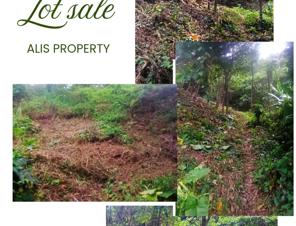 Lot for sale in El Nido palawan