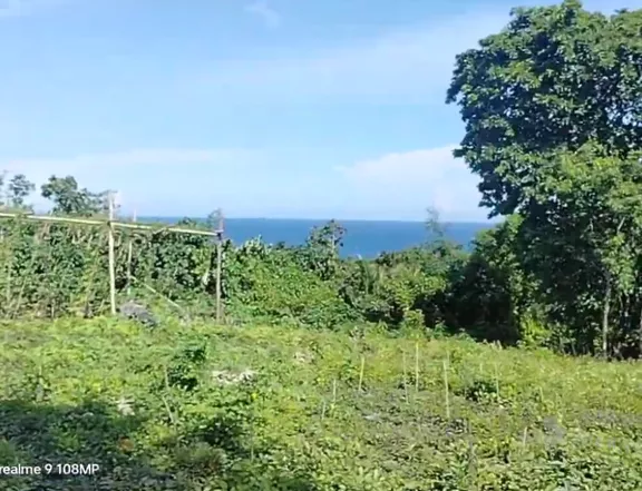Lot for sale seaview 16,000 sqm clean title 2nd lot from h.way Bohol