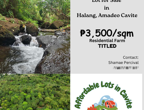 1,432 sqm TITLED Residential farm Lot in Halang, Amadeo Cavite 4118