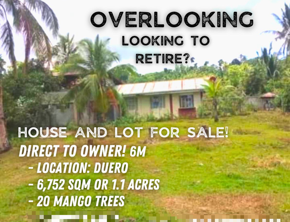 OVERLOOKING Residential Farm 6,752 sqm For Sale in Duero, Bohol