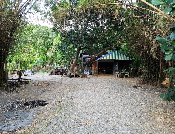 3,572sqm Residential Mango Farm for sale in San Carlos City, Pangasinan