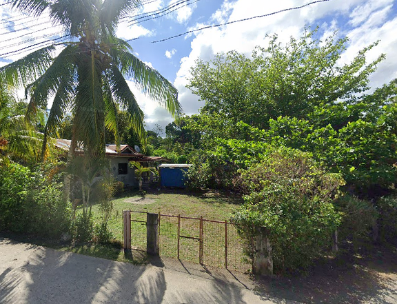 311-sq.m. Residential Lot w/ 1-storey House For Sale By Owner in Baclayon, Bohol