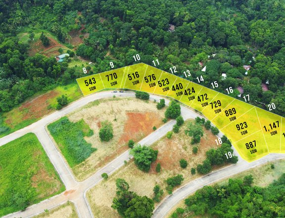 424 sqm Residential Lot For Sale in Sun Valley Golf Estates - Antipolo