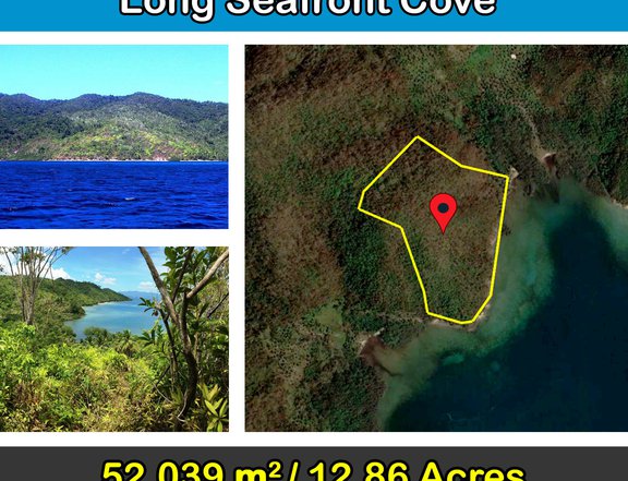 52,039 m2 / 12.86 Acres Buayan Island with long seafront cove