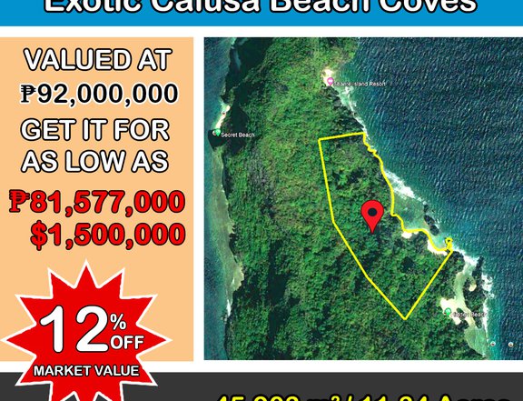 45,903 m2 / 11.34 Acres Matinloc Island Exotic Calusa Beach Coves