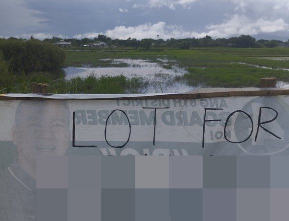 4,460.5 sqm Farm Lot For Sale in Asingan Pangasinan