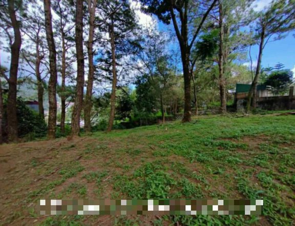 250 sqm Residential Lot For Sale in Baguio Benguet