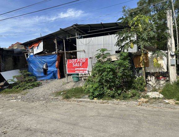 For Sale: 180 sqm Lot in Silcas Village, San Francisco, Binan, Laguna