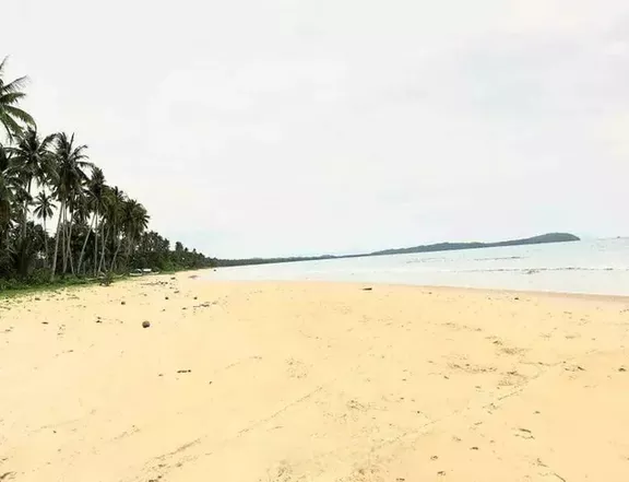 Beach Lot for Sale in New Agutaya, San Vicente, Palawan
