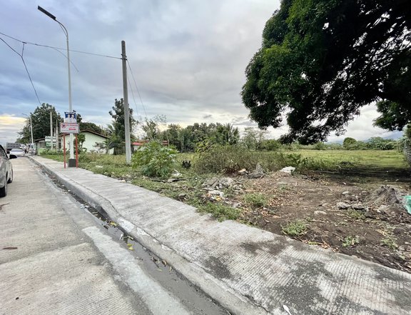 Prime commercial lot along National Hwy Sariaya Quezon for sale