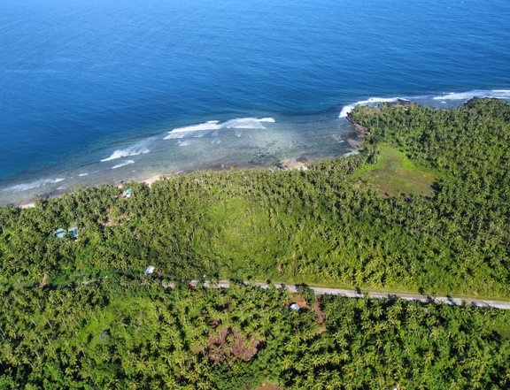 10 hectares beach property for sale