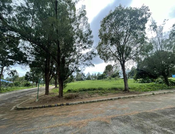 For sale Residential Lot Royale Tagaytay Alfonso Cavite