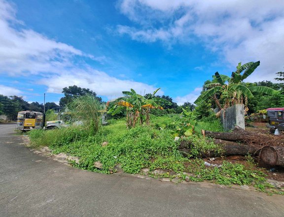 Residential Lots for Sale - Villa Vienna ( Neapolitan 1- B Subdivision ), Novaliches Quezon City