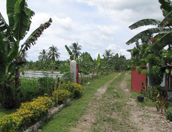 3,6926 hectares residential, commercial lot in Rizal  Javier, Leyte