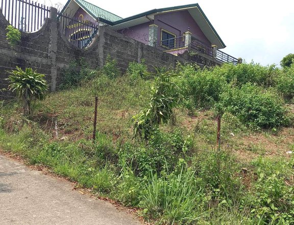 Lot for Sale 500 sqm (Barangay Neogan) - Tagaytay City