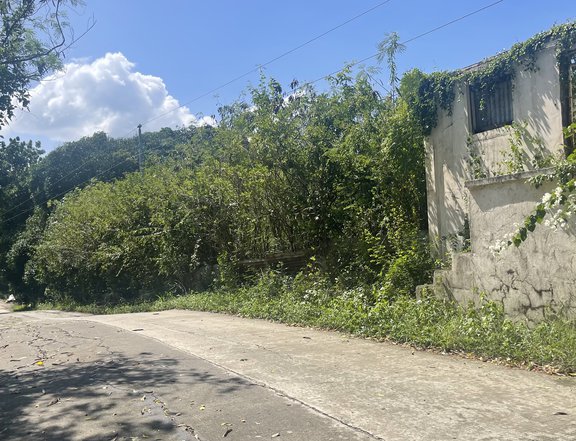 2.5 hectares Agricultural Farm For Sale in San Juan Batangas