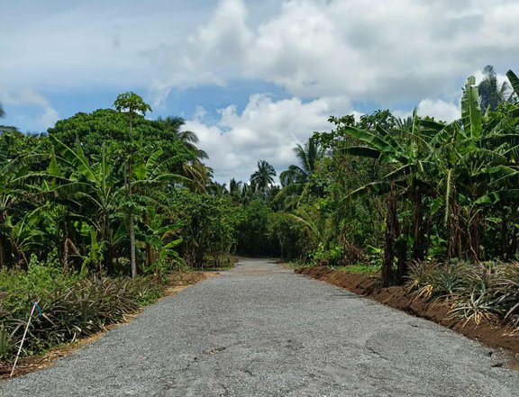 WAIT LANG, FRIEND!!!  BAKIT KA DAPAT MAGKA-FARM NGAYON NA?!