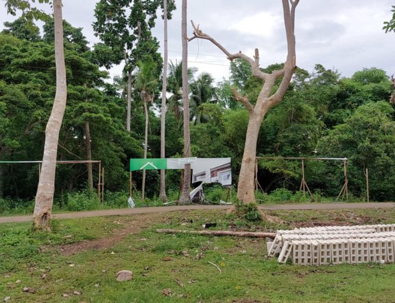 Commercial/Residential Lot for Sale in Panglao Island Along Cemented Road