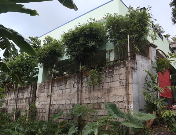 House and lot 4-bedroom single For sale in Antipolo Rizal
