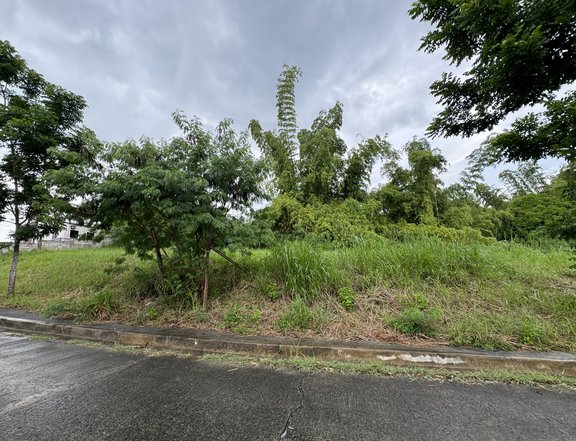 203 sqm Residential Lot in Monteverde Royale Village in Taytay Rizal