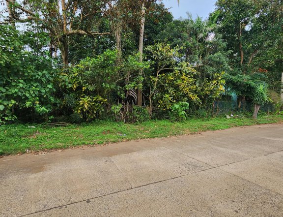 For Sale: Lot near Twin Lakes Tagaytay
