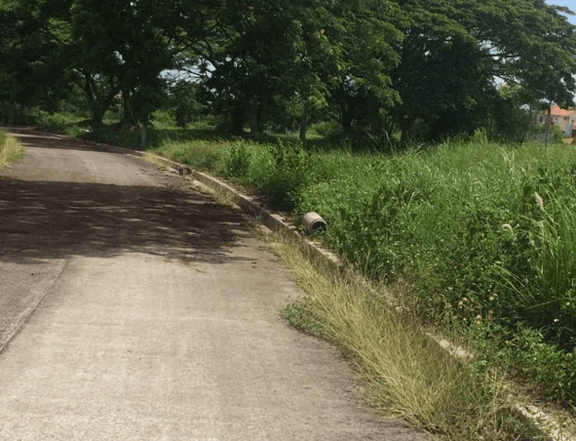 Two Adjacent Residential Lot 101 & 102 Square Meters Clean Title with Updated Taxes