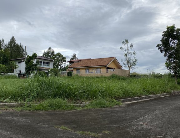 Residential lot with a total lot area of 379sqm.