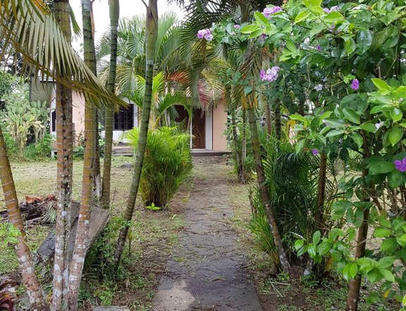 House and Lot for Sale in Balubad 2nd Road, Silang Cavite