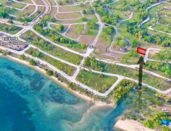 342 sqm Beach Residential Lot For Sale in Playa Laiya ,San Juan Batangas