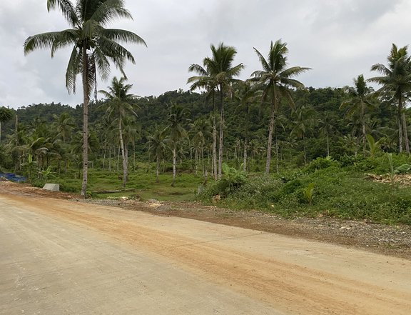 1.06 hectares Lot For Sale near Puregold Siargao