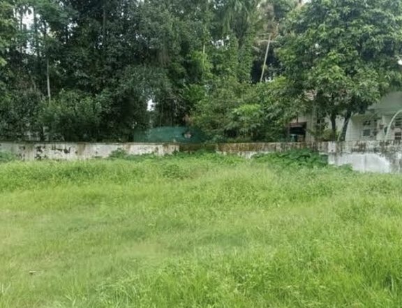 600 sqm Residential lot for sale in Puerto Princesa Palawan