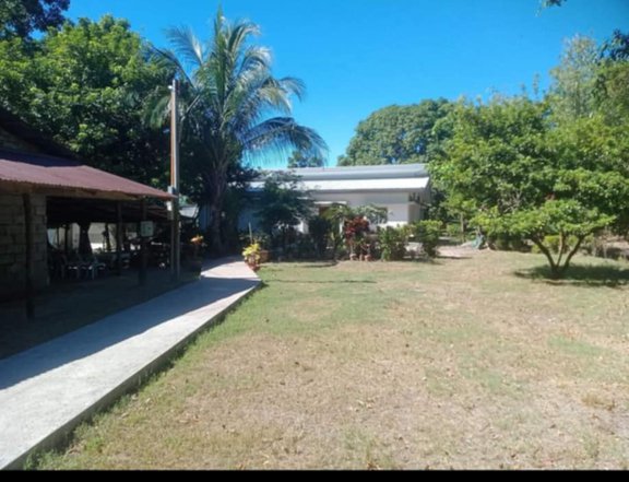 1.17 hectares Residential Farm For Sale in Zambales near pundaquit beach.