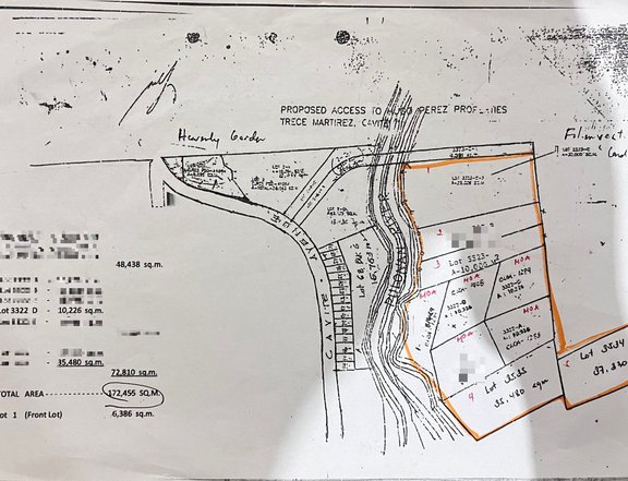 Agriculture Lot (17 hectares) LOCATION: TRECE MARTIRES CAVITE