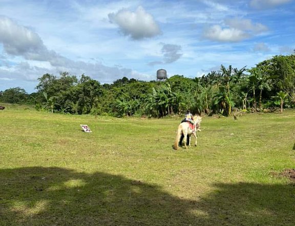 FARM LOT for Sale in Silang. Very near NUVALI, beside Ayala Hillside Ridge