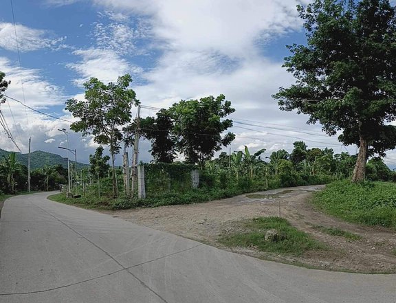 1,000 sqm Farm Lot For Sale in Tiaong Quezon