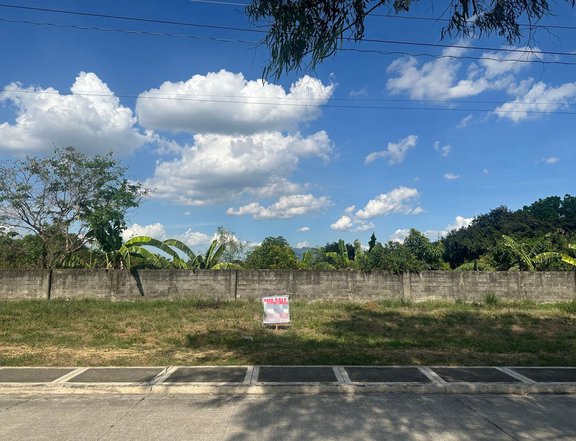 262 sqm Residential Lot For Sale in Mabalacat Pampanga