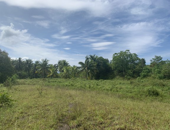 3.3 hectares farm lot for sale in prk 20 tinacagan GSC