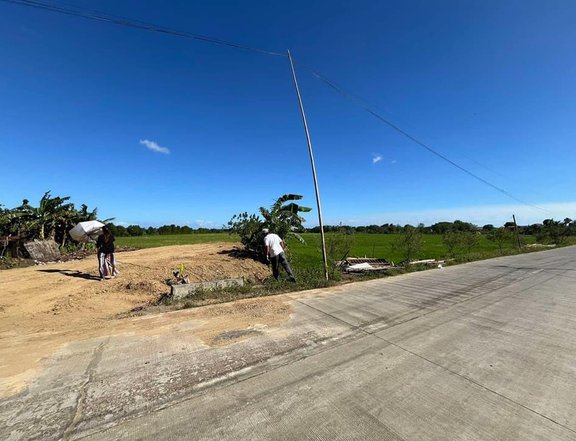 200 sq m. Subdivision Lot for Sale Abilay,Oton