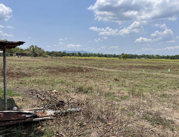 300 sqm. Subdivided Farm Lot for sale in Nasugbu Batangas wi/ promo