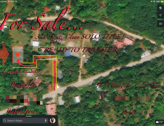 320 sqm Residential Lot For Sale in Samal Davao Del Norte