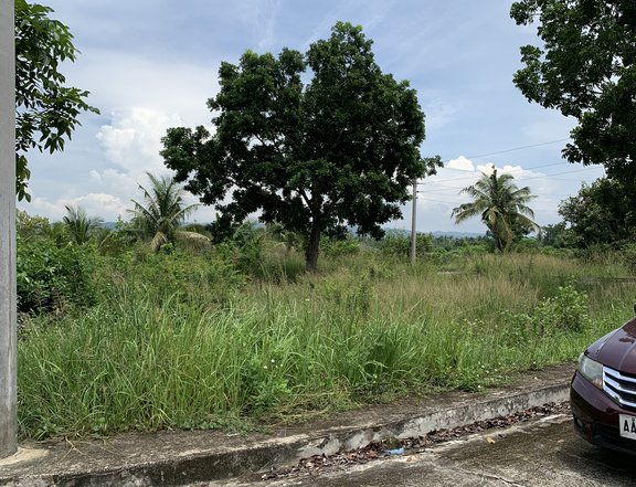 97 sqm Residential Lot for Sale at Glen Rose Subd. by Santa Lucia in Perelos Carcar Cebu