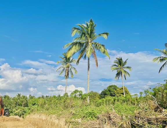 1,000 sqm Raw Land For Sale in Indang Cavite