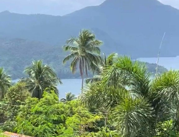 Residential Lot 284 sqm For Sale in Lauan Ridges Mataas na kahoy, Batangas