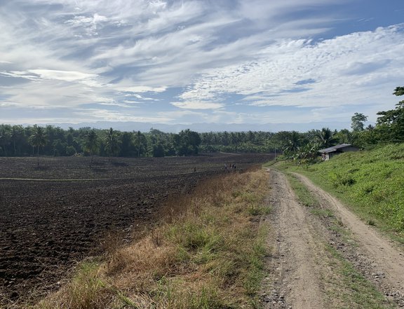 10,000sqm Farm for sale