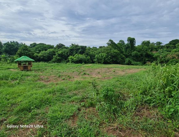 1,000 sqm Agricultural Farm For Sale in Naic Cavite