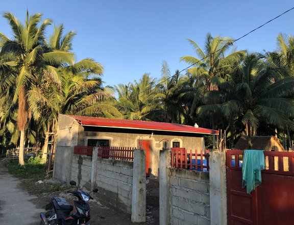 Brgy. Magang P-5 320 sq/m Residential with Fences, Gates  and Storage House